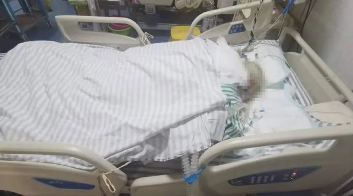 杭州奶奶买了两只鸭子后险丧命！秋高气爽，这种病又来了，有医院已接诊多例……休闲区蓝鸢梦想 - Www.slyday.coM