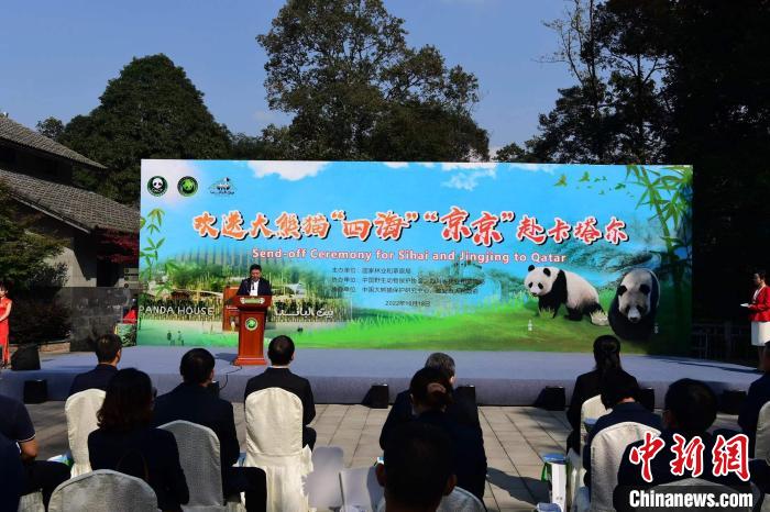 “四海”“京京”赴卡塔尔开展大熊猫保护研究合作 系中国大熊猫首次旅居中东地区休闲区蓝鸢梦想 - Www.slyday.coM