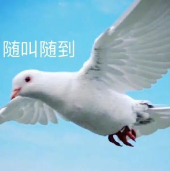 知名男星被曝偷偷生下孩子？！照片放大后，有些秘密藏不住了哈哈哈哈哈休闲区蓝鸢梦想 - Www.slyday.coM