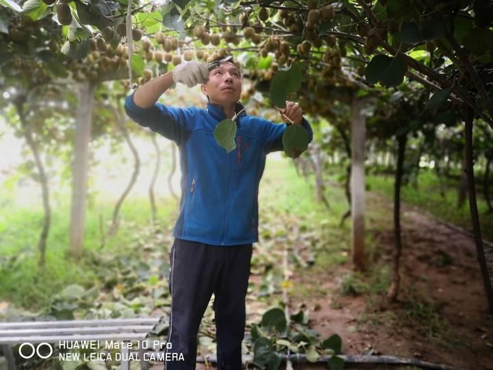 来自秦岭大山的酸甜，是这家人努力生活的证明！杭州中秋夜送快递的父子，我们想帮帮他们休闲区蓝鸢梦想 - Www.slyday.coM