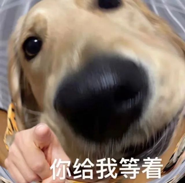 知名男星被曝偷偷生下孩子？！照片放大后，有些秘密藏不住了哈哈哈哈哈休闲区蓝鸢梦想 - Www.slyday.coM