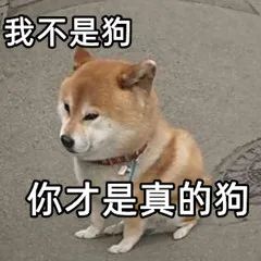 萧山一小伙吐槽老婆，治好了我的恐婚休闲区蓝鸢梦想 - Www.slyday.coM