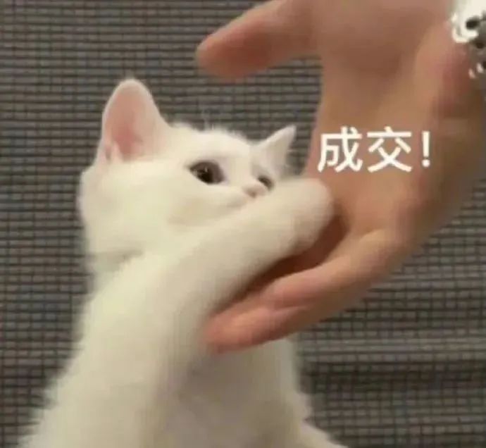 知名男星被曝偷偷生下孩子？！照片放大后，有些秘密藏不住了哈哈哈哈哈休闲区蓝鸢梦想 - Www.slyday.coM