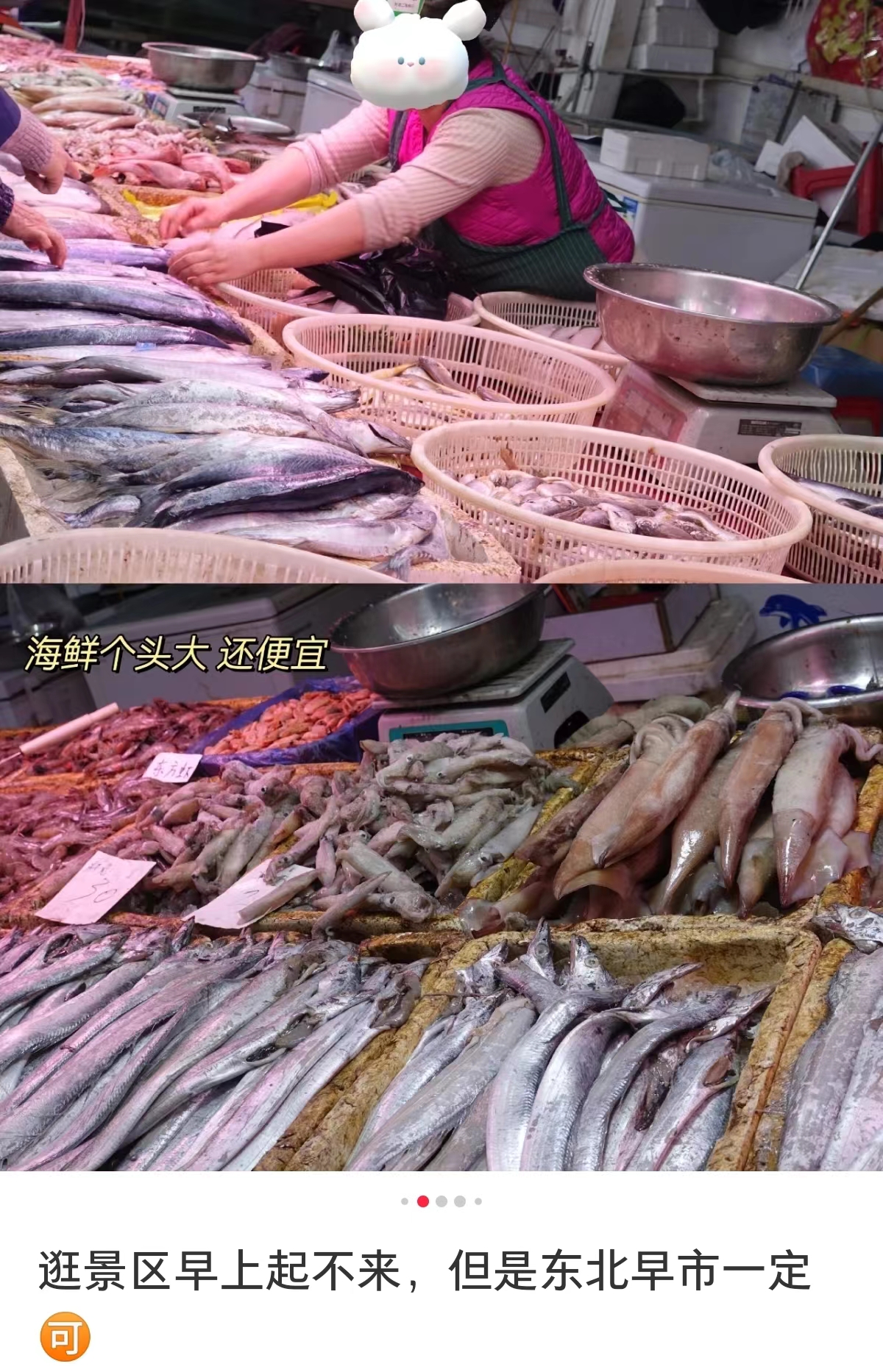 东北早市有多霸气？论车买菜，花20元便能吃饱、吃好，还能带走休闲区蓝鸢梦想 - Www.slyday.coM