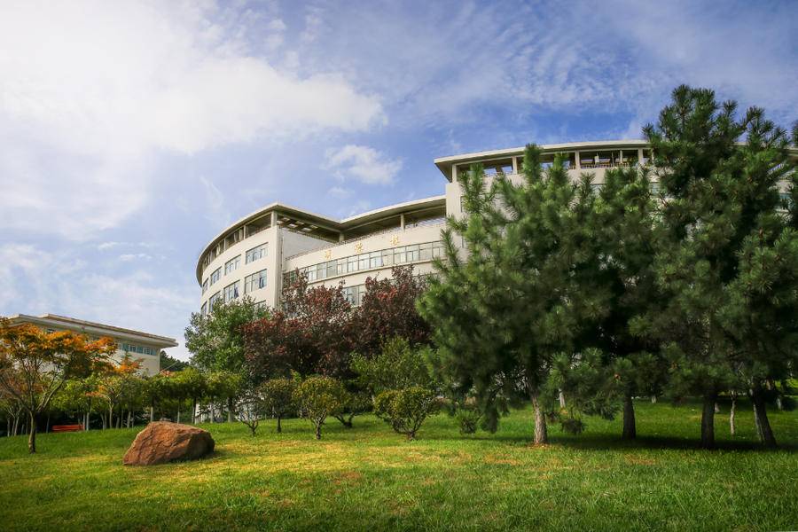 寻找山东最美大学16青岛科技大学王庆波等:《碧草绿茵青科大》|摄影