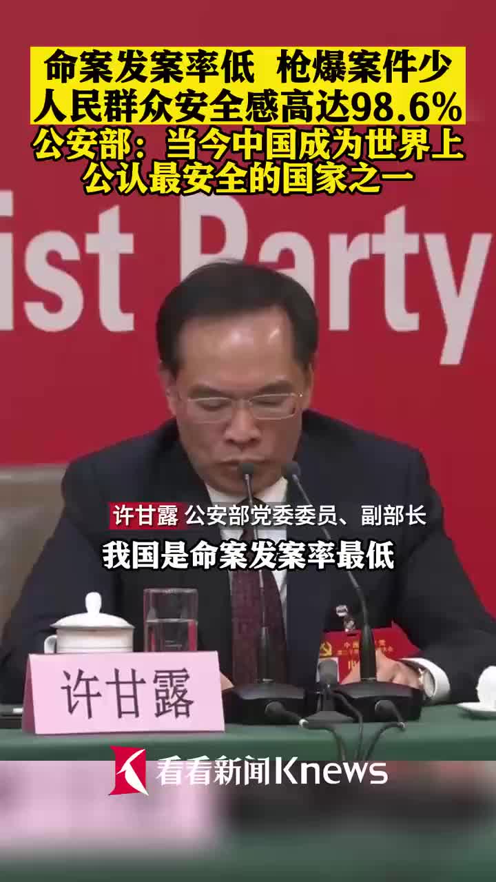 公安部：中国成为世界上公认最安全国家之一_新浪新闻
