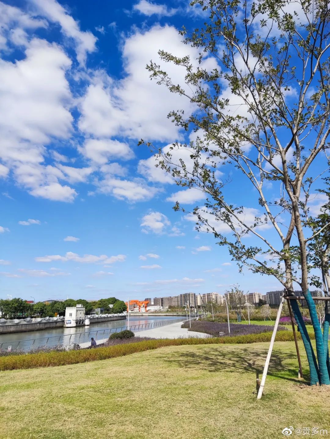 今天的“大片”你拍到了吗？隔壁“邻居”又要30℃了，上海呢？休闲区蓝鸢梦想 - Www.slyday.coM