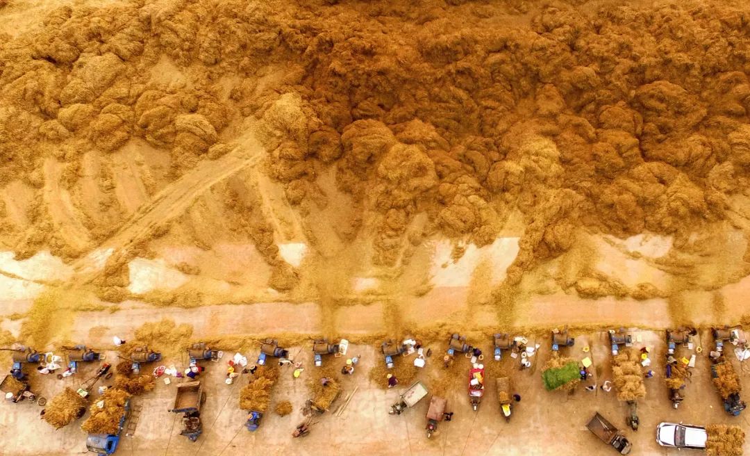 物阜民丰休闲区蓝鸢梦想 - Www.slyday.coM