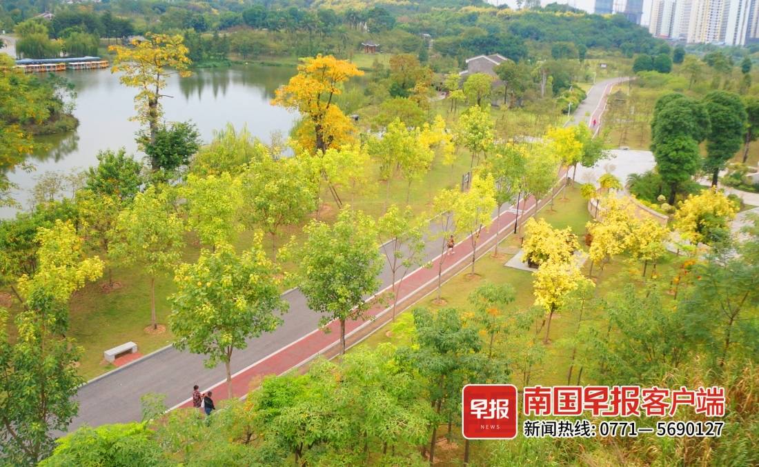 江南公园秋日美景刷屏南宁人的朋友圈，你还没来打卡吗？休闲区蓝鸢梦想 - Www.slyday.coM