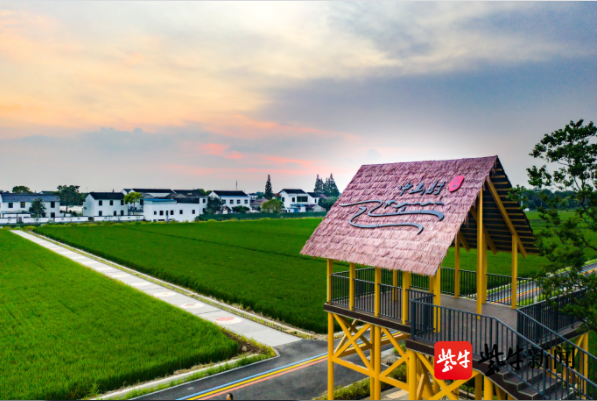 原标题:张家港市大新镇,"四促改善",打造美丽宜居的新中山