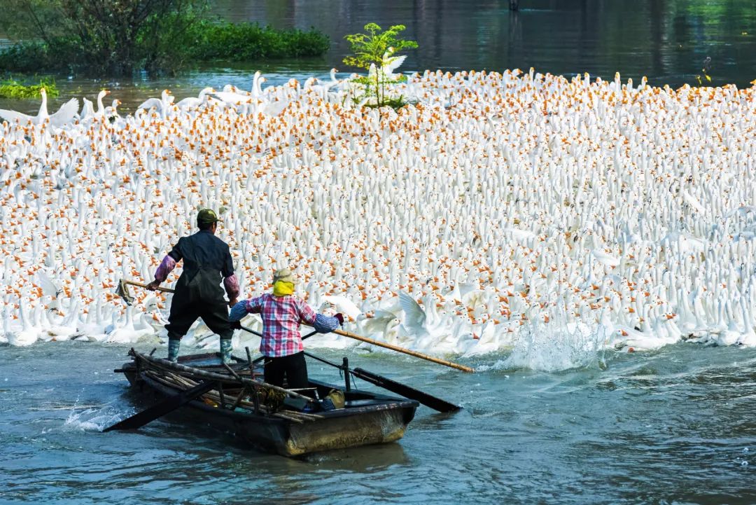 物阜民丰休闲区蓝鸢梦想 - Www.slyday.coM