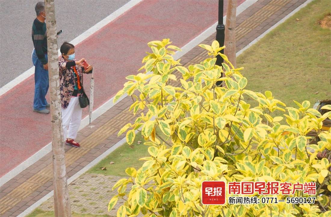 江南公园秋日美景刷屏南宁人的朋友圈，你还没来打卡吗？休闲区蓝鸢梦想 - Www.slyday.coM