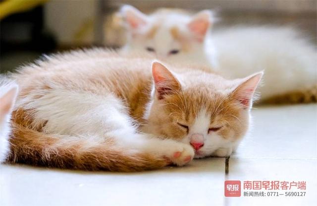 晚安十点（2022.10.19）丨没想到，诗词也可以这样可可爱爱休闲区蓝鸢梦想 - Www.slyday.coM