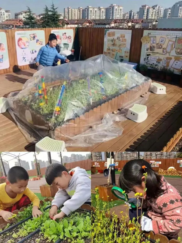 浦东教育系统“寻找最美校园”结果出炉，快看看有你的学校吗？休闲区蓝鸢梦想 - Www.slyday.coM