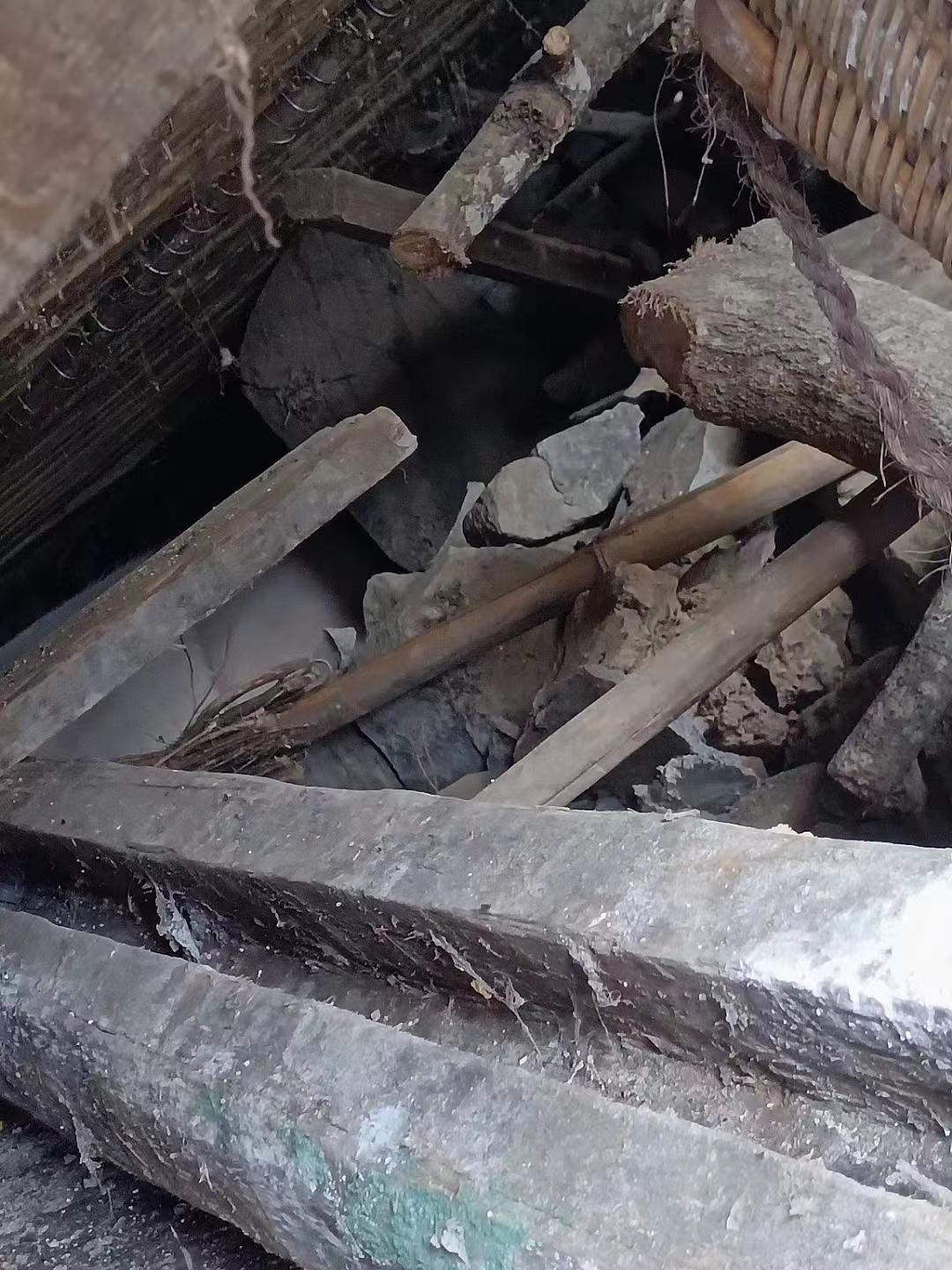 泸定地震家猪被埋废墟，存活45天后被救出休闲区蓝鸢梦想 - Www.slyday.coM