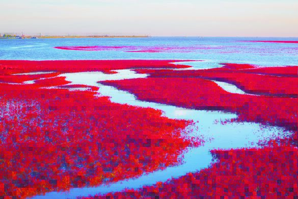 盘锦固定p友怎么找｜盘锦固定p友寻找技巧与盘锦魅力介绍