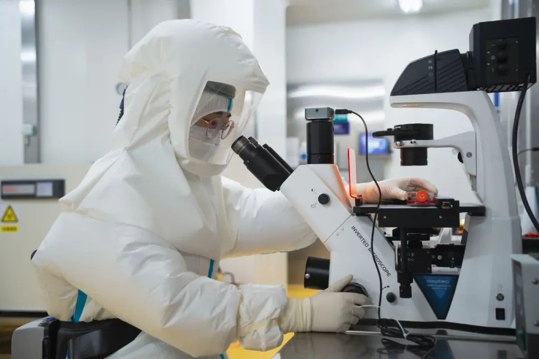武汉生物成功分离猴痘病毒！开始疫苗药物研究休闲区蓝鸢梦想 - Www.slyday.coM
