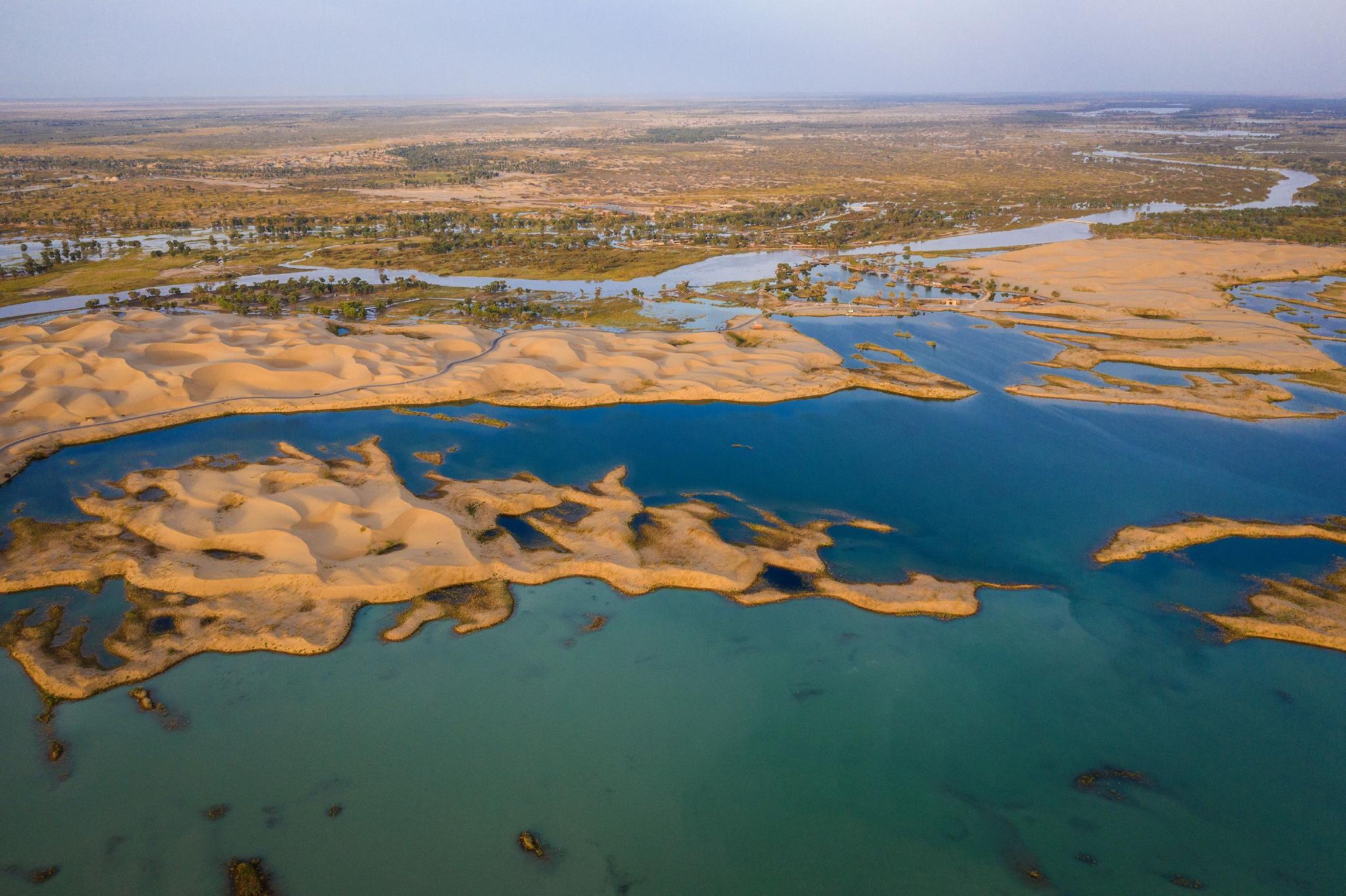 2021年9月11日，新疆尉犁，中国最大内陆河塔里木河蜿蜒穿过塔克拉玛干沙漠，在沙漠孕育出湖泊和胡杨林，景致壮观美丽。图/IC photo