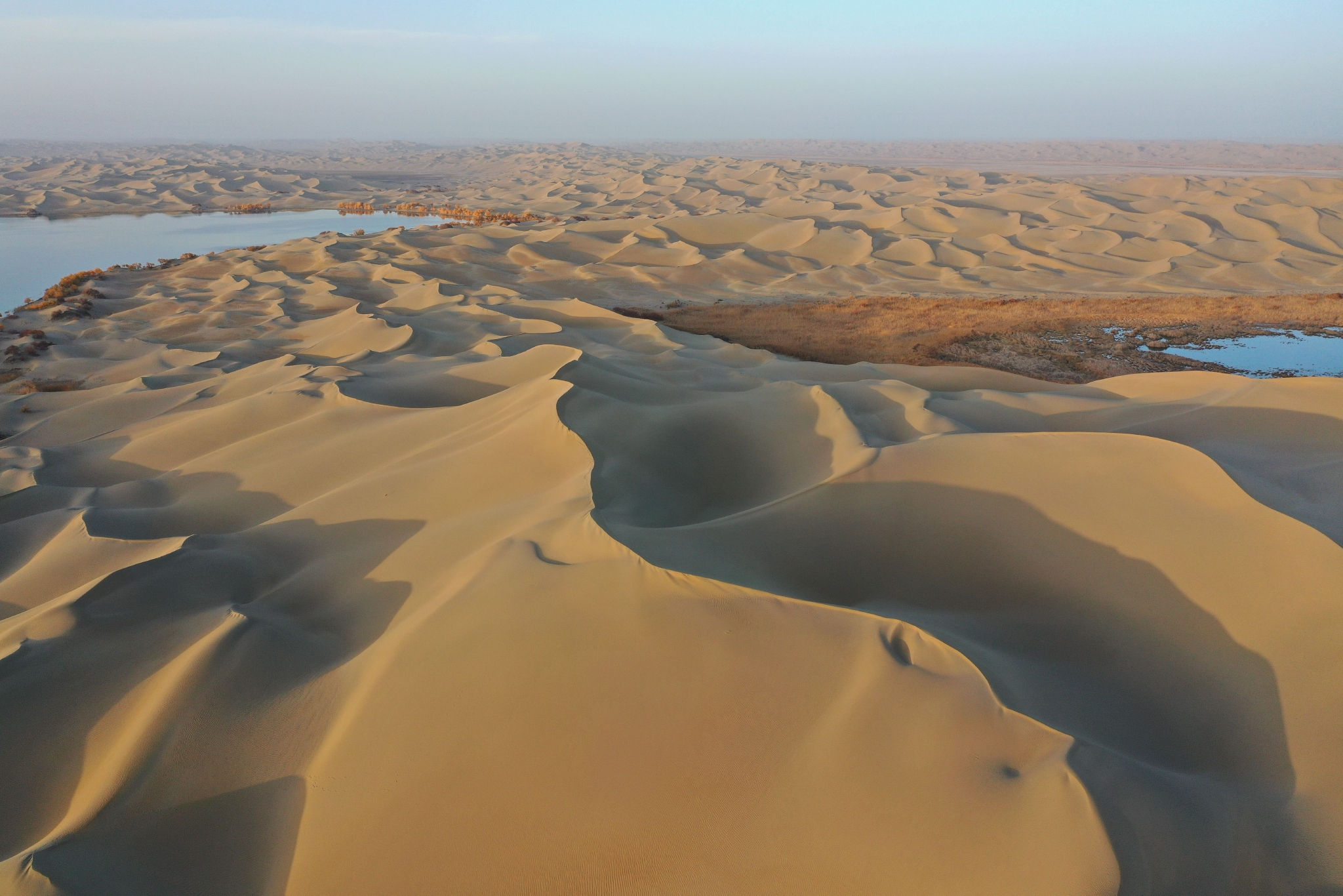2020年10月22日，新疆尉犁，金秋十月，罗布湖迎来沙漠胡杨观赏季，金色的胡杨、浩瀚的沙漠与湛蓝的湖水交相辉映，显得格外壮观。图/IC photo