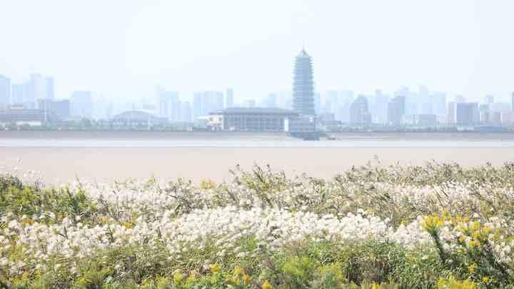 杭州的秋天真是从早美到晚，这会儿刷屏的云是什么云？朋友圈说“五彩祥云”的完胜休闲区蓝鸢梦想 - Www.slyday.coM