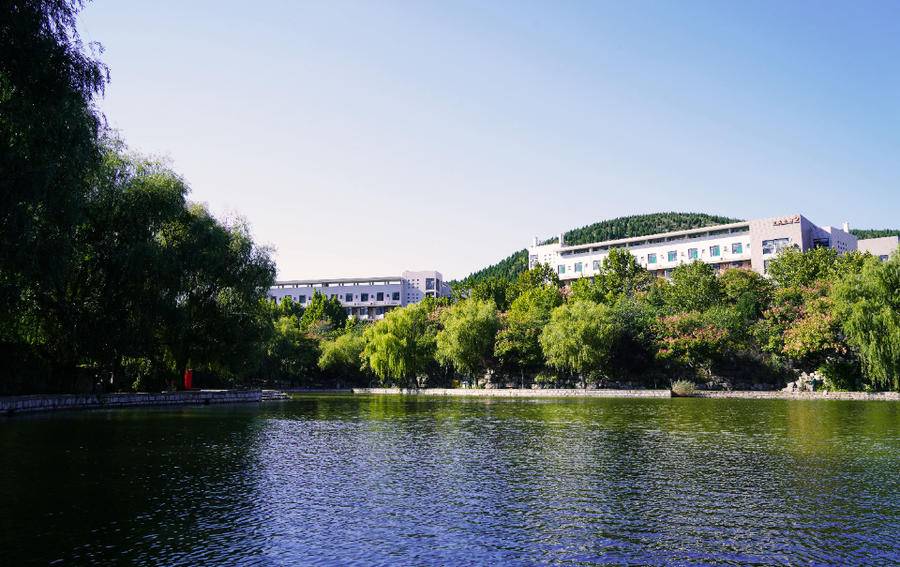寻找山东最美大学|山东艺术学院刘硕:《艺苑秋色》__财经头条