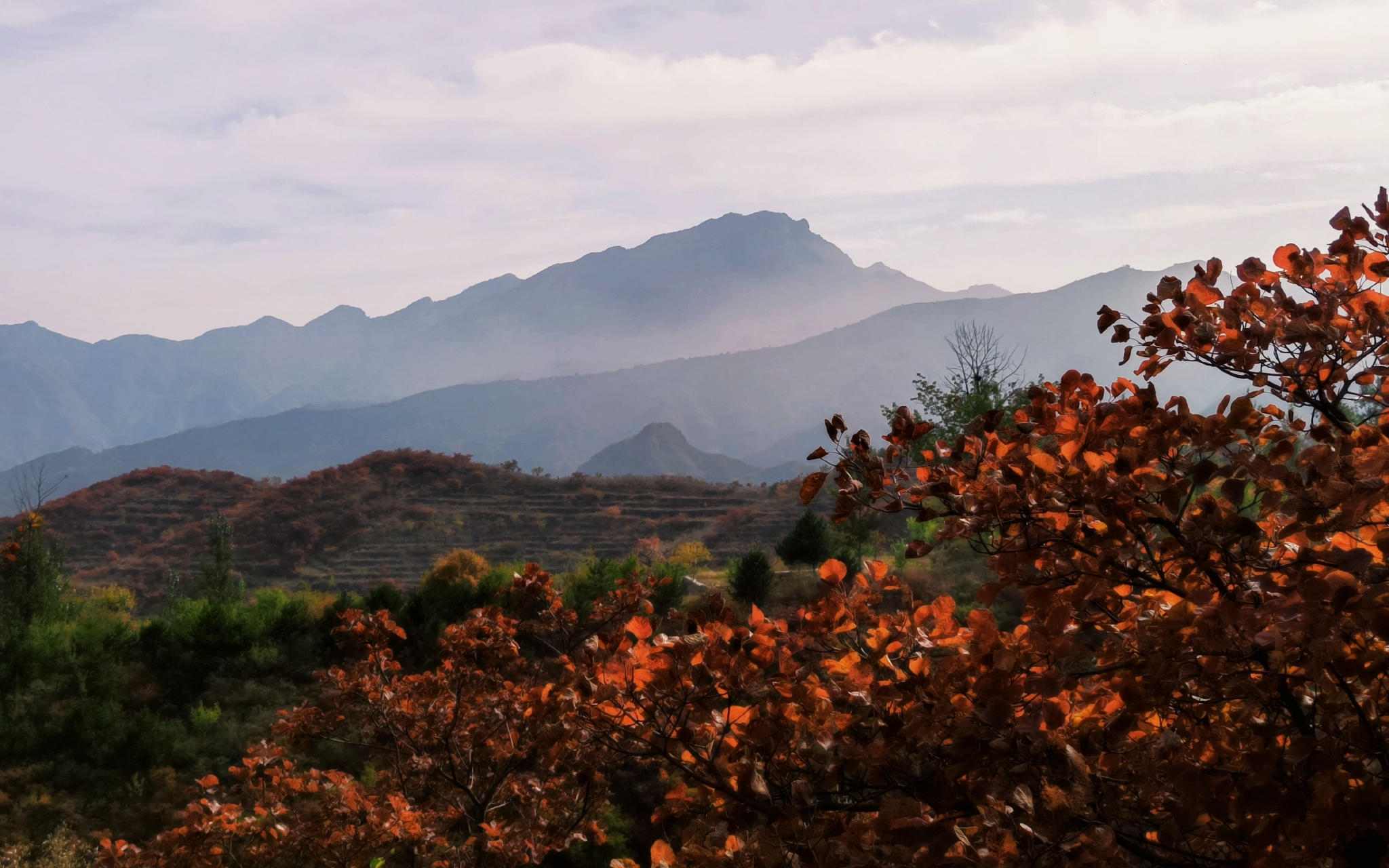 猫耳山红叶美景.南窖乡供图
