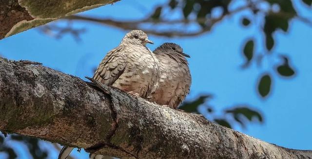宝鸡，一座从《诗经》里走来的城市休闲区蓝鸢梦想 - Www.slyday.coM