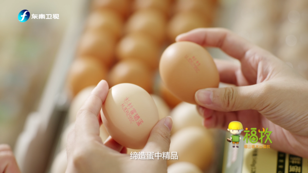 喜欢吃鸡蛋的人，注意了！休闲区蓝鸢梦想 - Www.slyday.coM