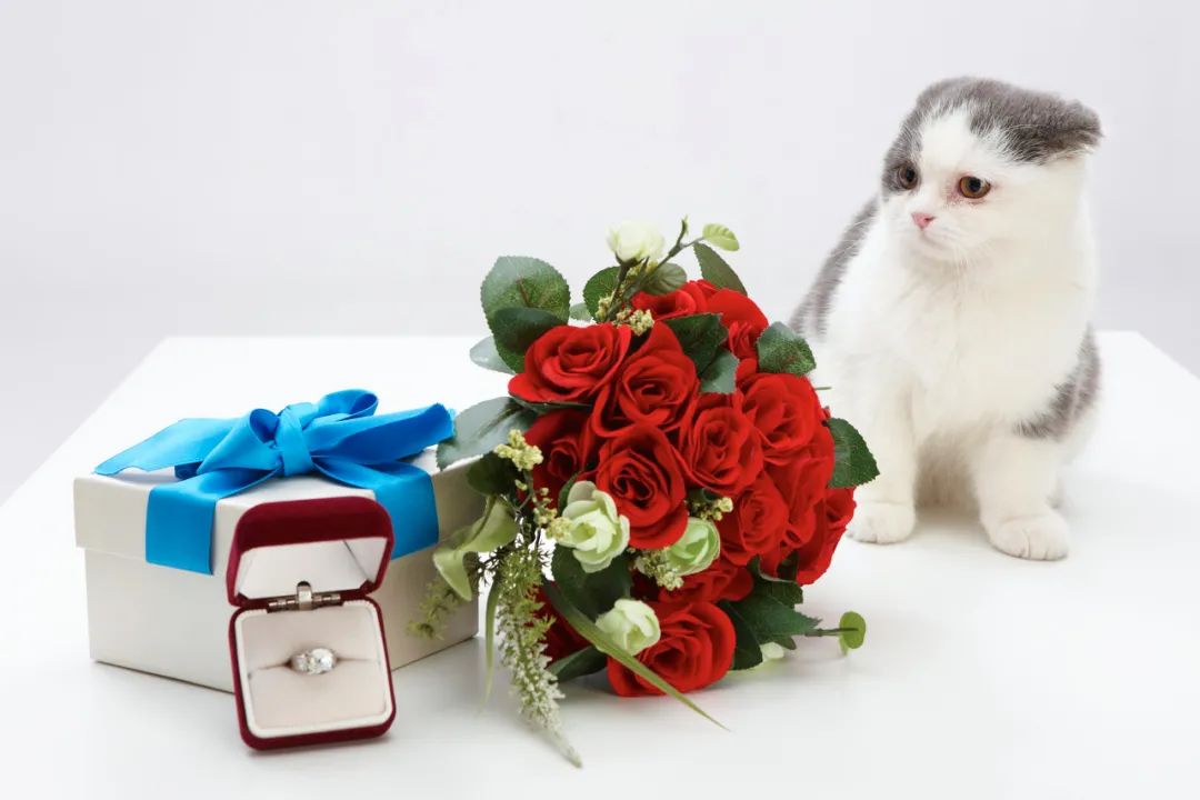 不结婚的年轻人，也被钻石盯上了休闲区蓝鸢梦想 - Www.slyday.coM