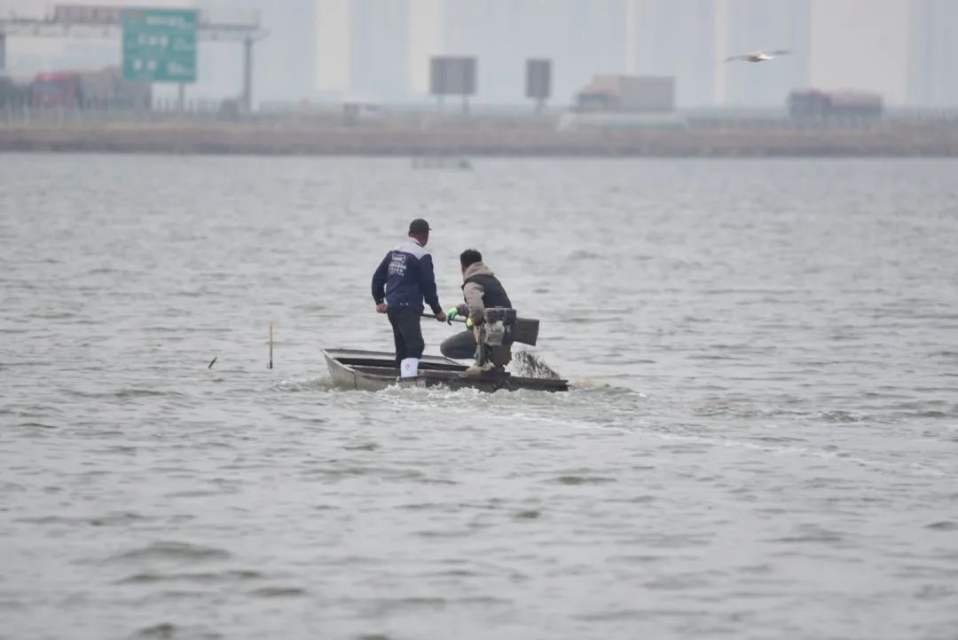 天津人的口福到了，梭子蟹即将大量上市休闲区蓝鸢梦想 - Www.slyday.coM