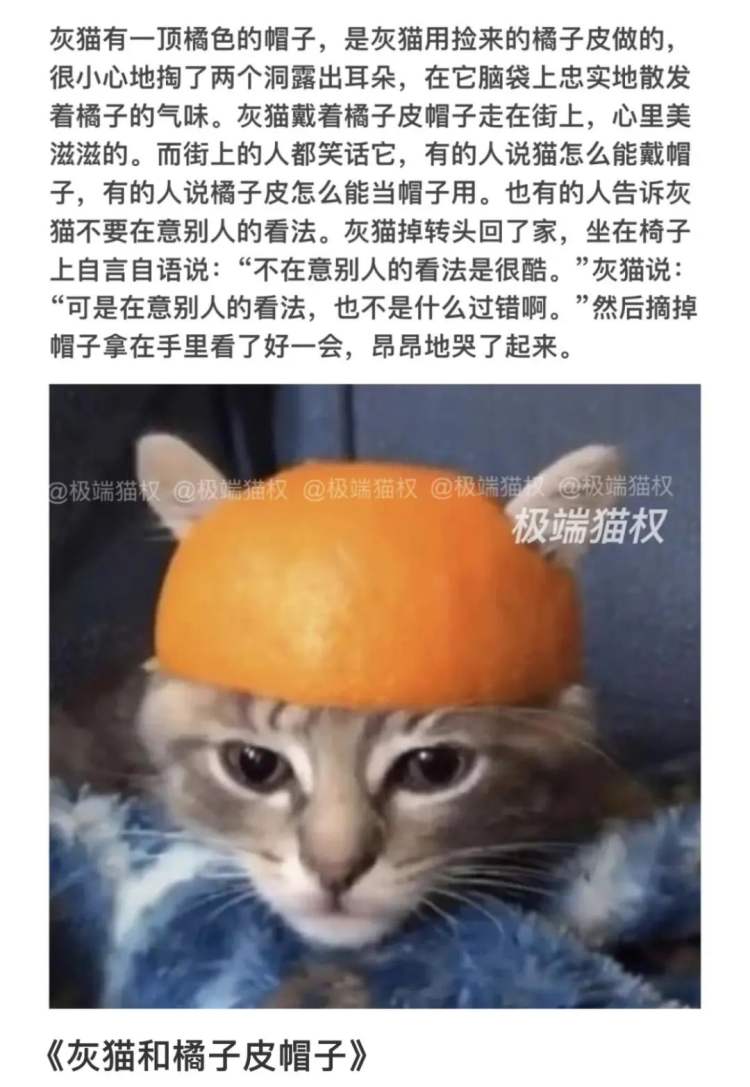 突然爆火的“小猫文学”，戳中了谁休闲区蓝鸢梦想 - Www.slyday.coM