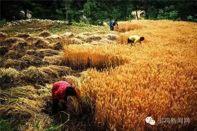 宝鸡，一座从《诗经》里走来的城市休闲区蓝鸢梦想 - Www.slyday.coM