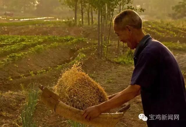 宝鸡，一座从《诗经》里走来的城市休闲区蓝鸢梦想 - Www.slyday.coM