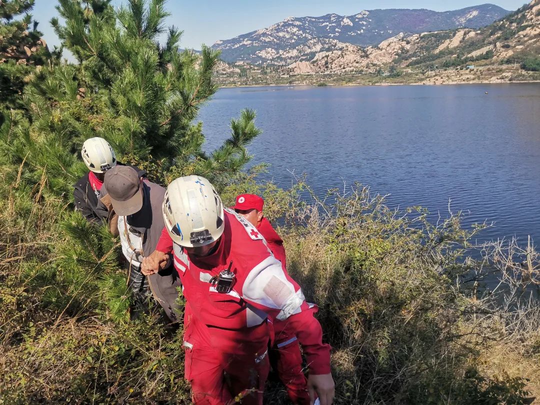“汪汪队立大功！” 登山失联一夜的老人，被“它”找到了…休闲区蓝鸢梦想 - Www.slyday.coM