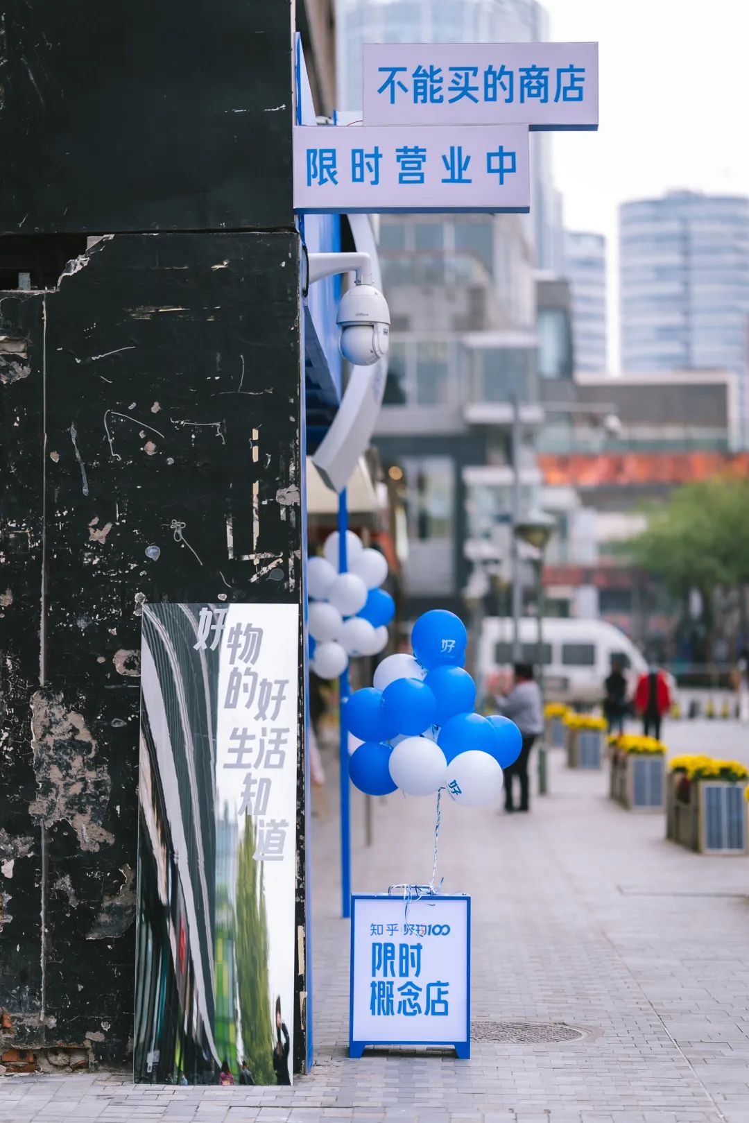 知乎好物 100｜美好生活像秋日里的甜柿子休闲区蓝鸢梦想 - Www.slyday.coM