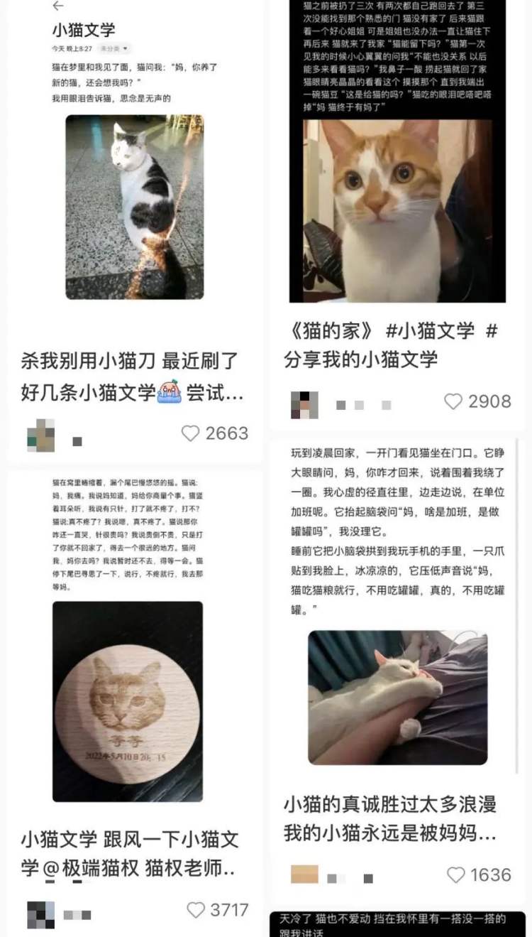 突然爆火的“小猫文学”，戳中了谁休闲区蓝鸢梦想 - Www.slyday.coM