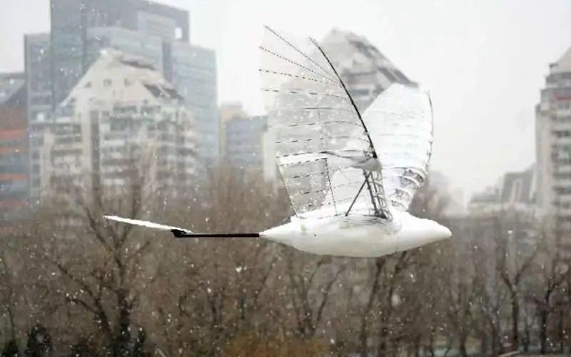 “双关节大鸟型扑翼飞行器”外形与鸟类“神似”。受访者供图