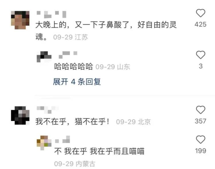 突然爆火的“小猫文学”，戳中了谁休闲区蓝鸢梦想 - Www.slyday.coM