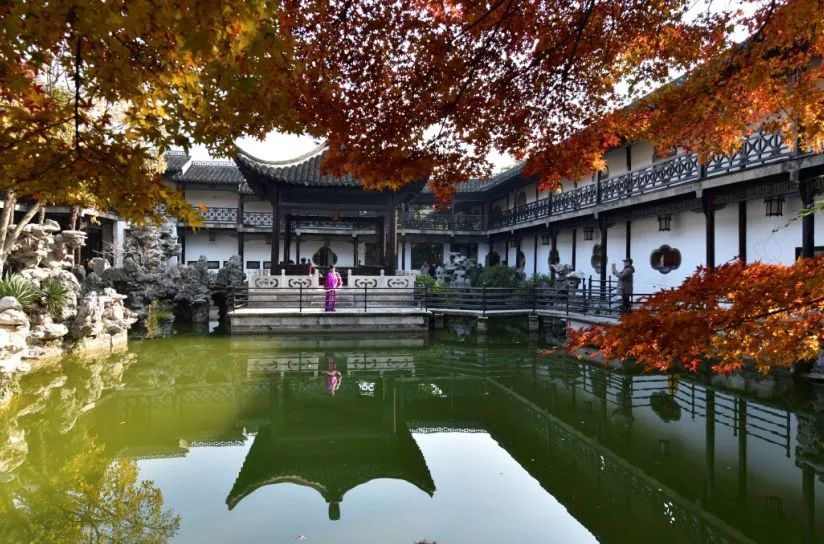 水韵江苏·自媒体联盟大赏丨扬州的秋天上新,有你熟悉的画面吗?__财经头条
