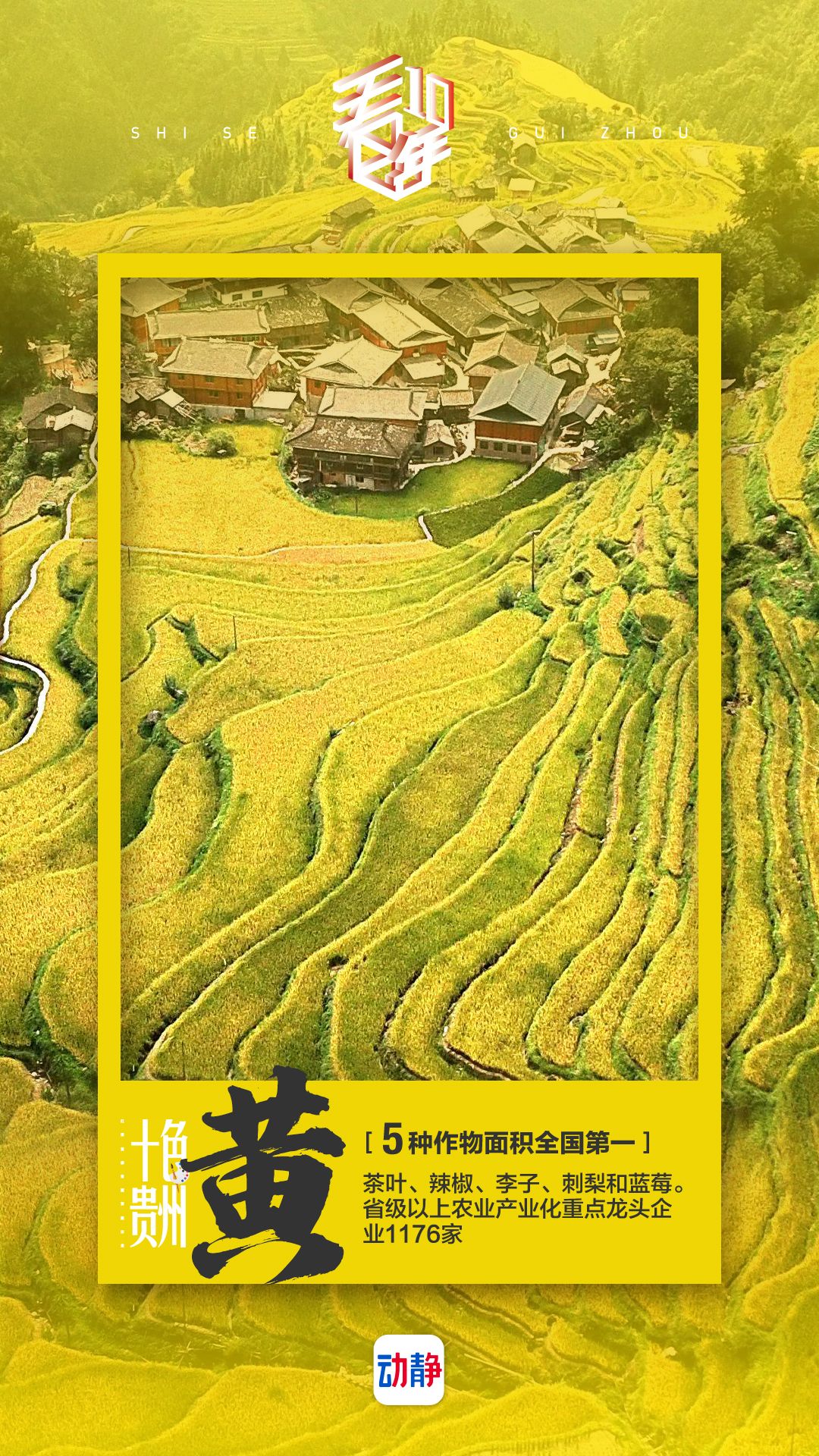 多彩贵州有多彩？这组海报告诉你，一个有内涵的十色贵州休闲区蓝鸢梦想 - Www.slyday.coM