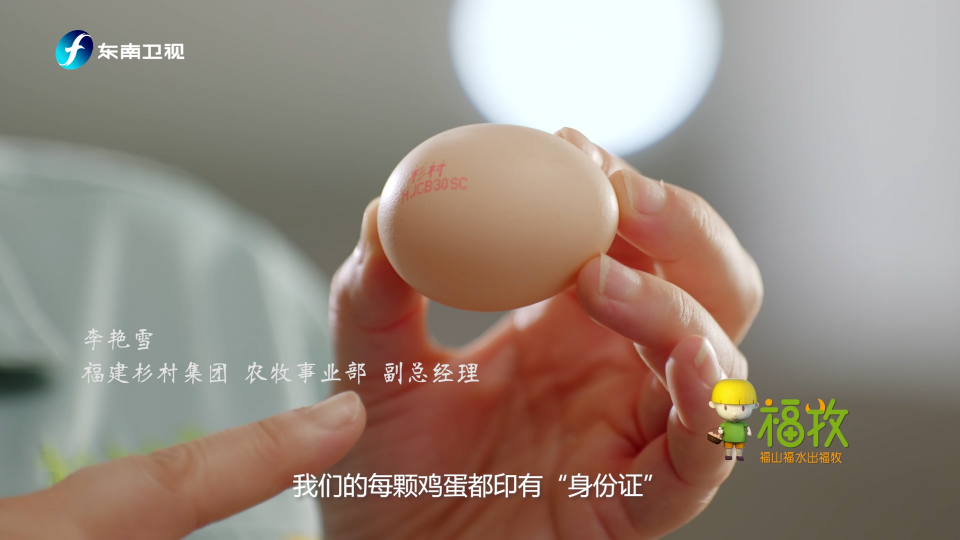 喜欢吃鸡蛋的人，注意了！休闲区蓝鸢梦想 - Www.slyday.coM