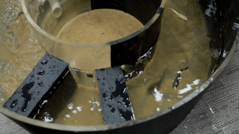 你不知道，它们得多努力才能被你吃到！休闲区蓝鸢梦想 - Www.slyday.coM