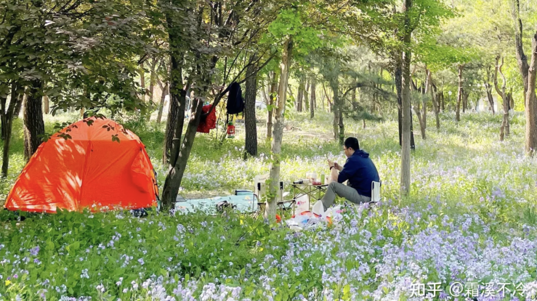 知乎好物 100｜美好生活像秋日里的甜柿子休闲区蓝鸢梦想 - Www.slyday.coM