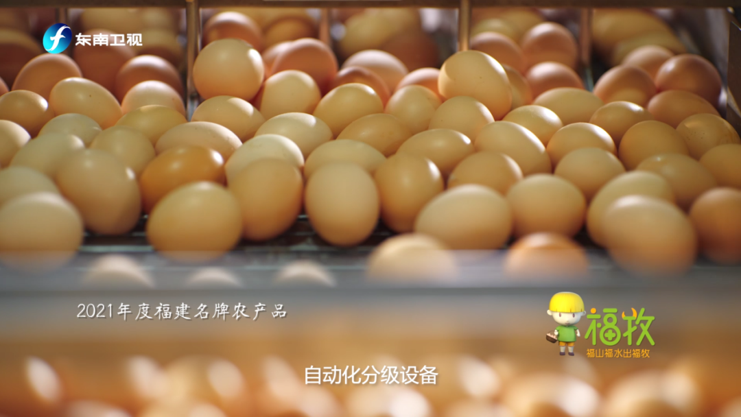 喜欢吃鸡蛋的人，注意了！休闲区蓝鸢梦想 - Www.slyday.coM