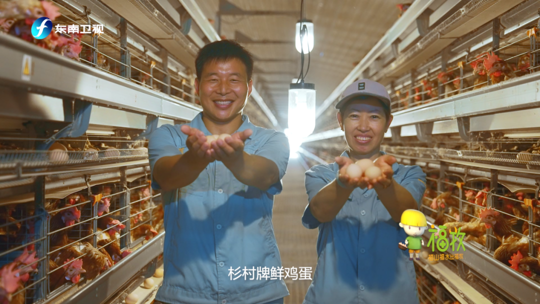 喜欢吃鸡蛋的人，注意了！休闲区蓝鸢梦想 - Www.slyday.coM