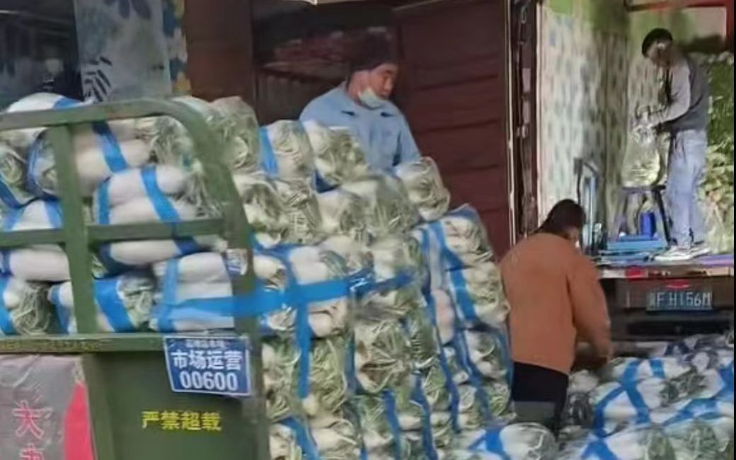 “冬储菜”陆续上市 河北新发地“白萝卜大王”增加供应量__财经头条