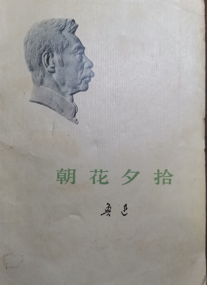 朝花夕拾小引第三自然段写的什么?