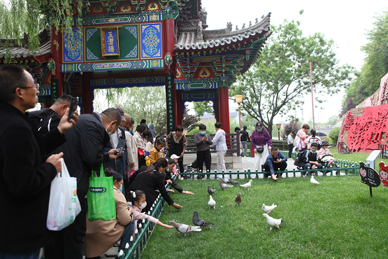 “王宝钏挖野菜”梗火了，可是还有人不知道寒窑在哪里休闲区蓝鸢梦想 - Www.slyday.coM