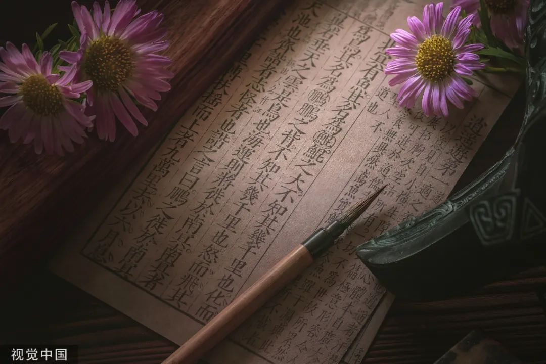 薄言词语释义 薄言什么意思