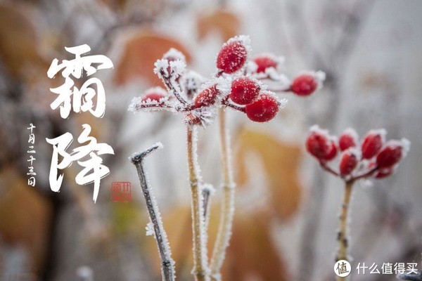 襄樊卡五星进入方法 霜降节气含义解析